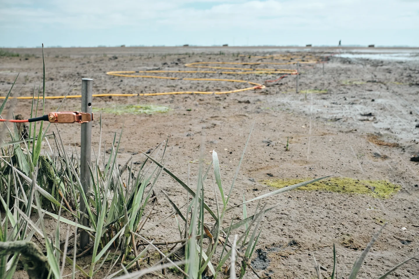 Geoelectrics in Wadden Sea