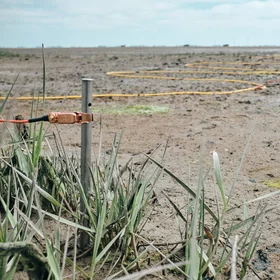 Geoelectrics in Wadden Sea