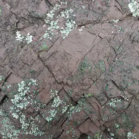 The X in the Bauxite