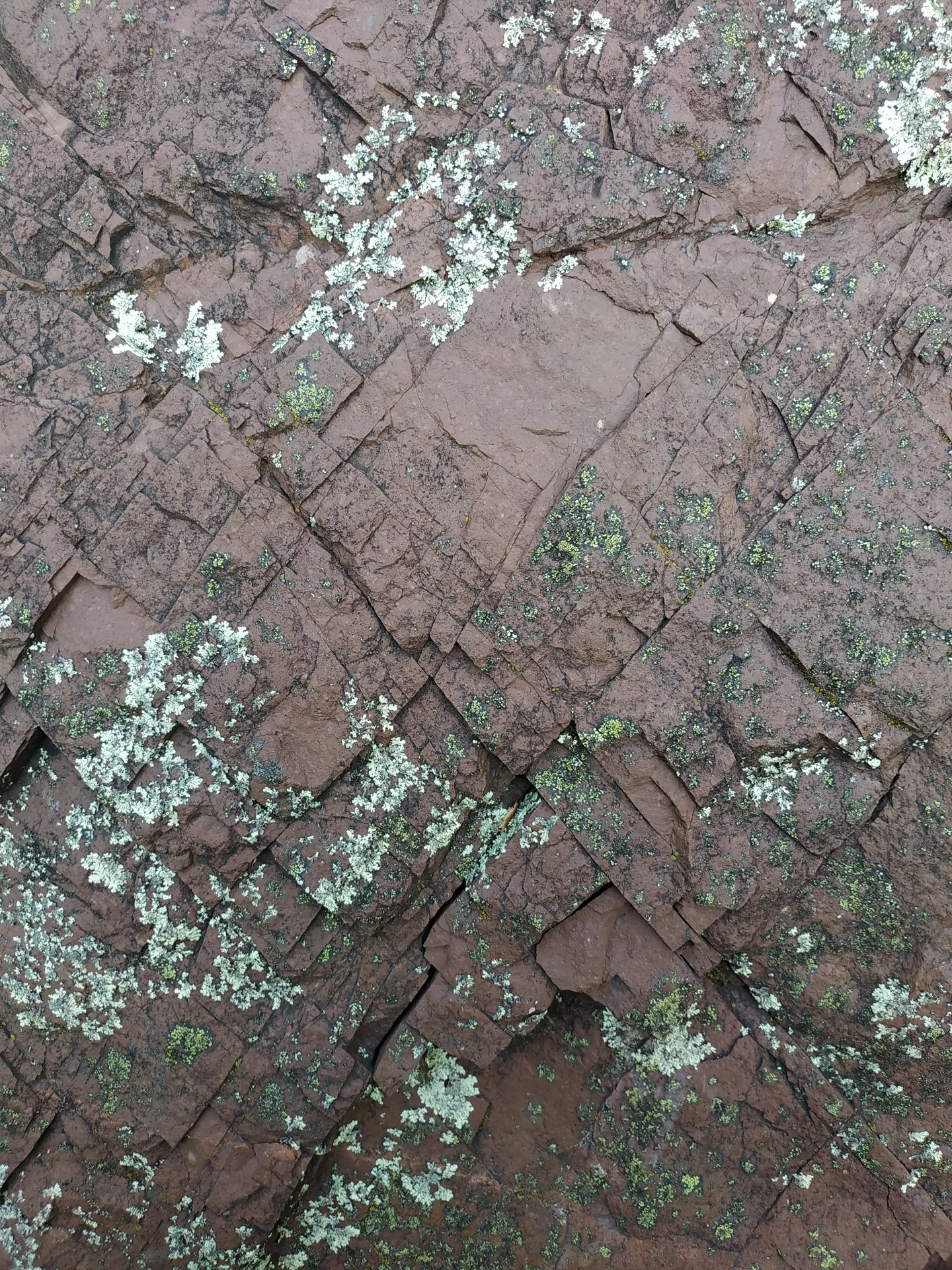 The X in the Bauxite