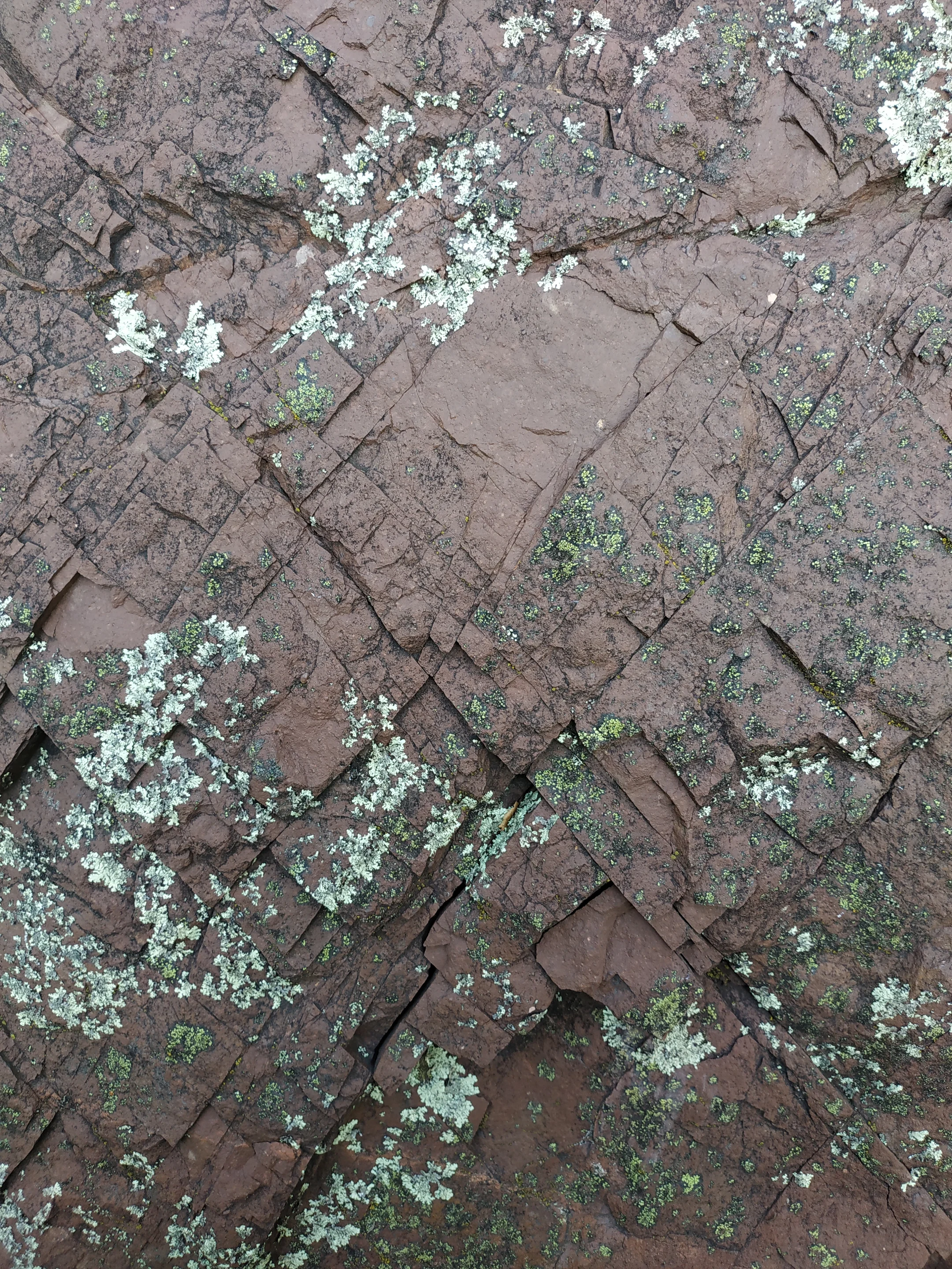 The X in the Bauxite
