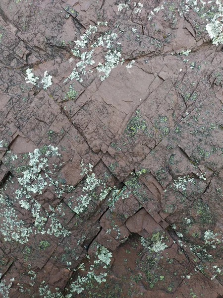 The X in the Bauxite
