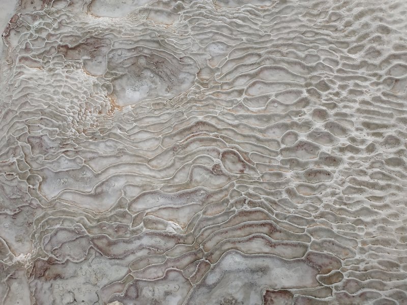 Fingerprint in the cotton