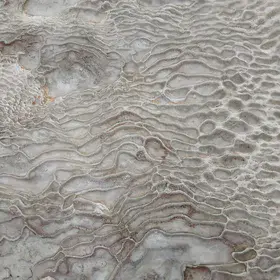 Fingerprint in the cotton