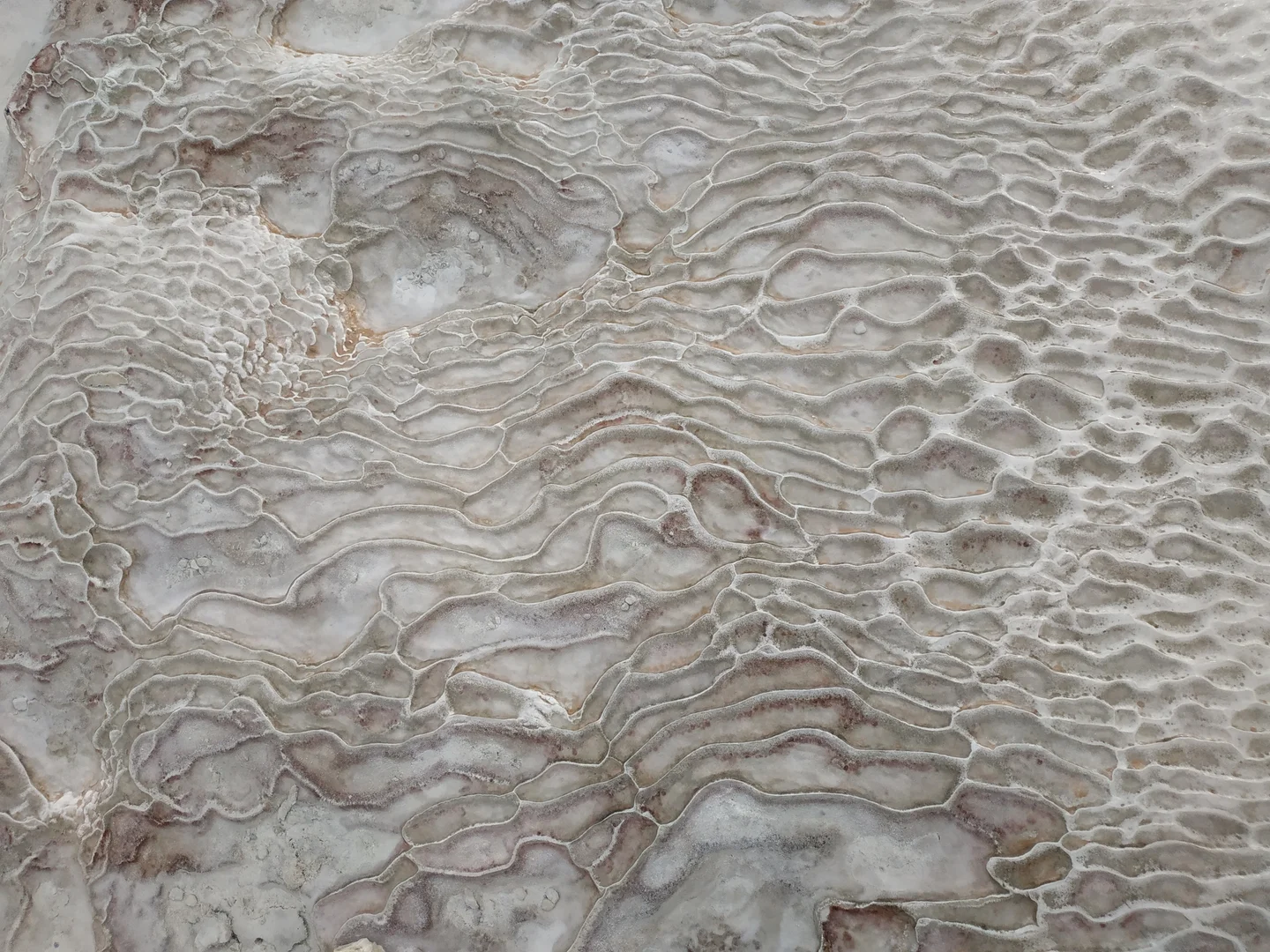 Fingerprint in the cotton