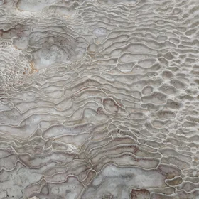 Fingerprint in the cotton