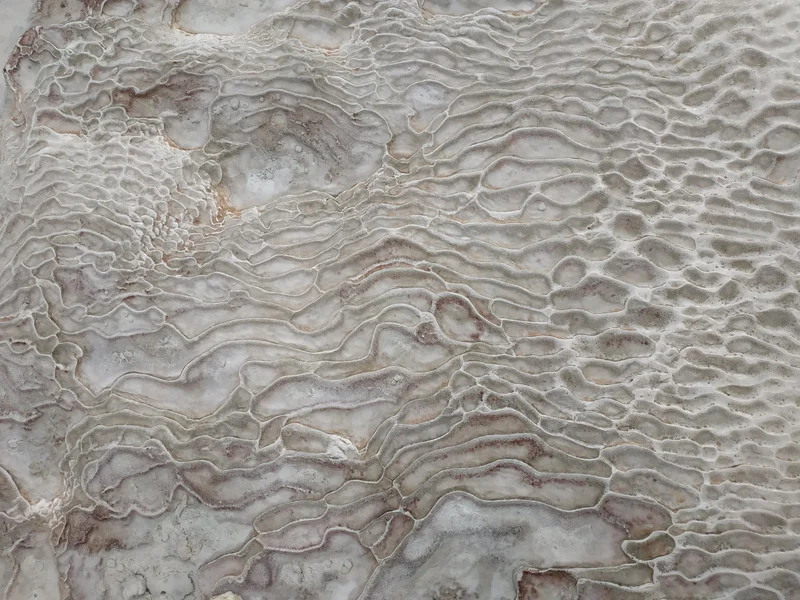 Fingerprint in the cotton