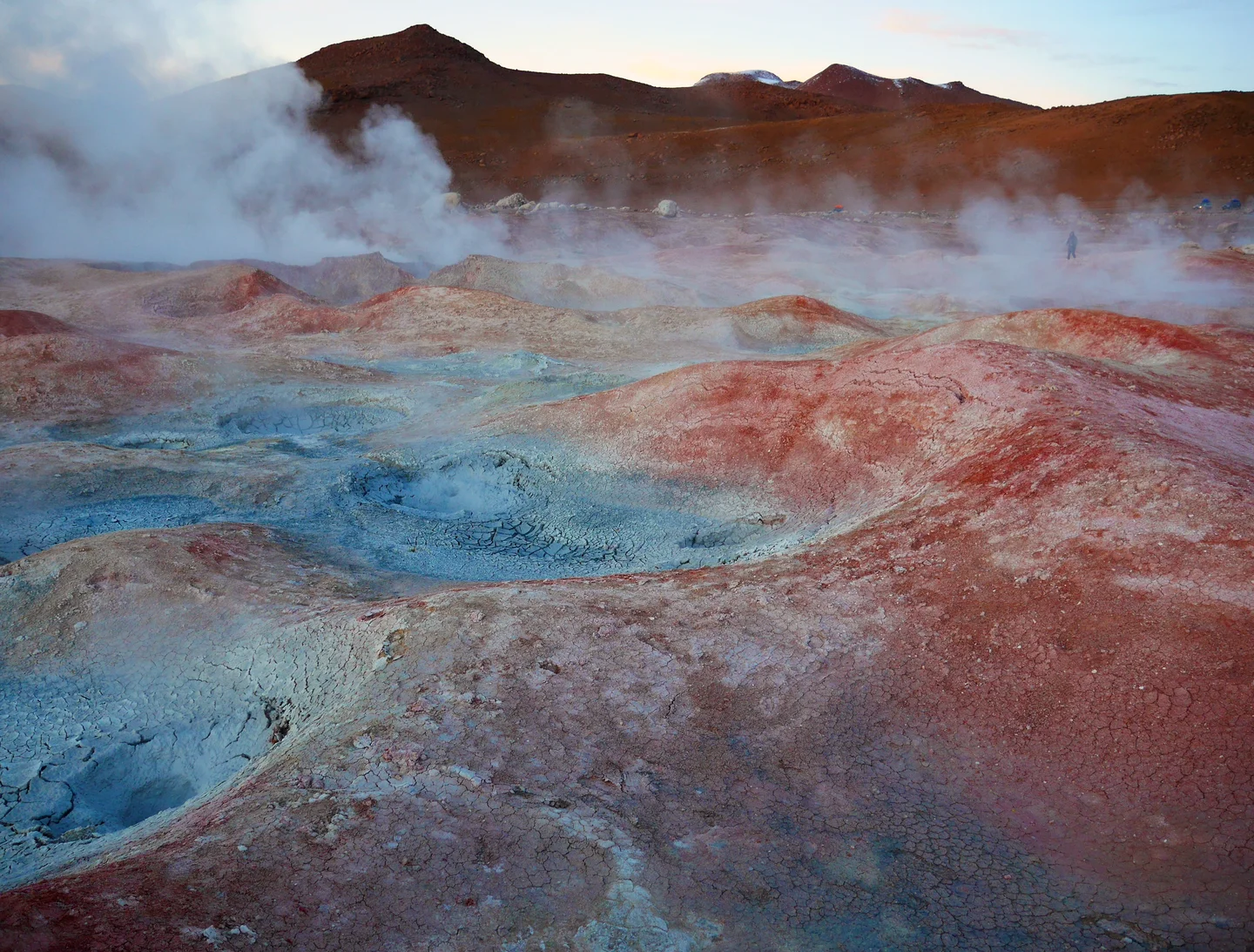 Intriguing artwork by heat-loving microbes