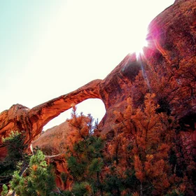 OO-oooooo look the Arch twinkles!