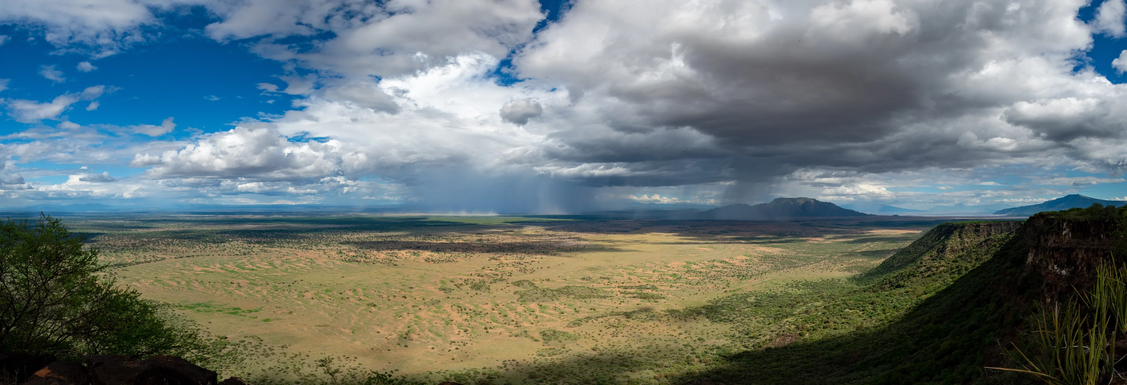 The long rains bring life