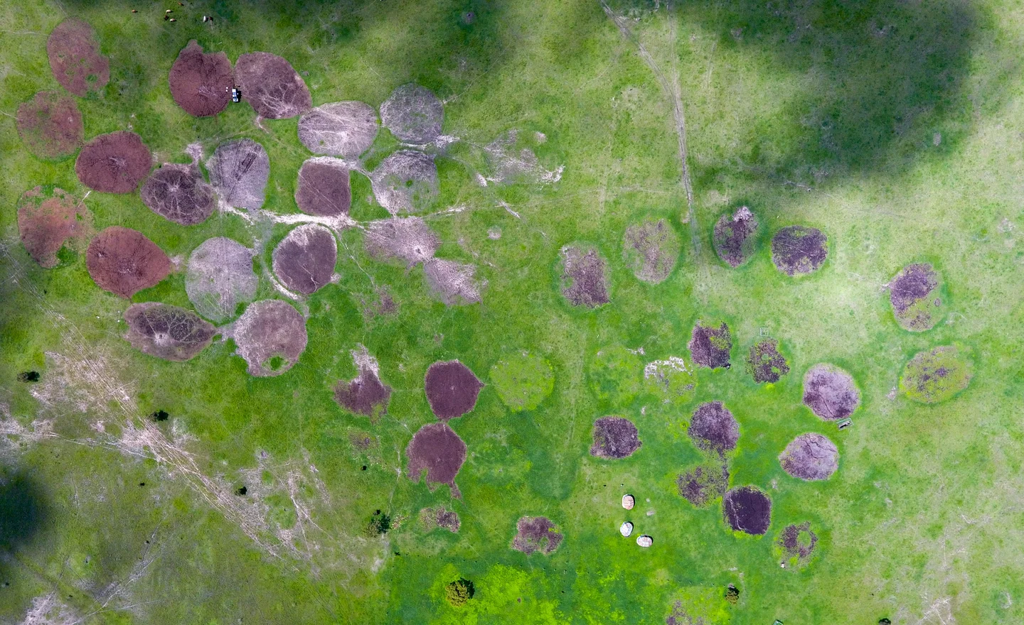 Circles of life and safety