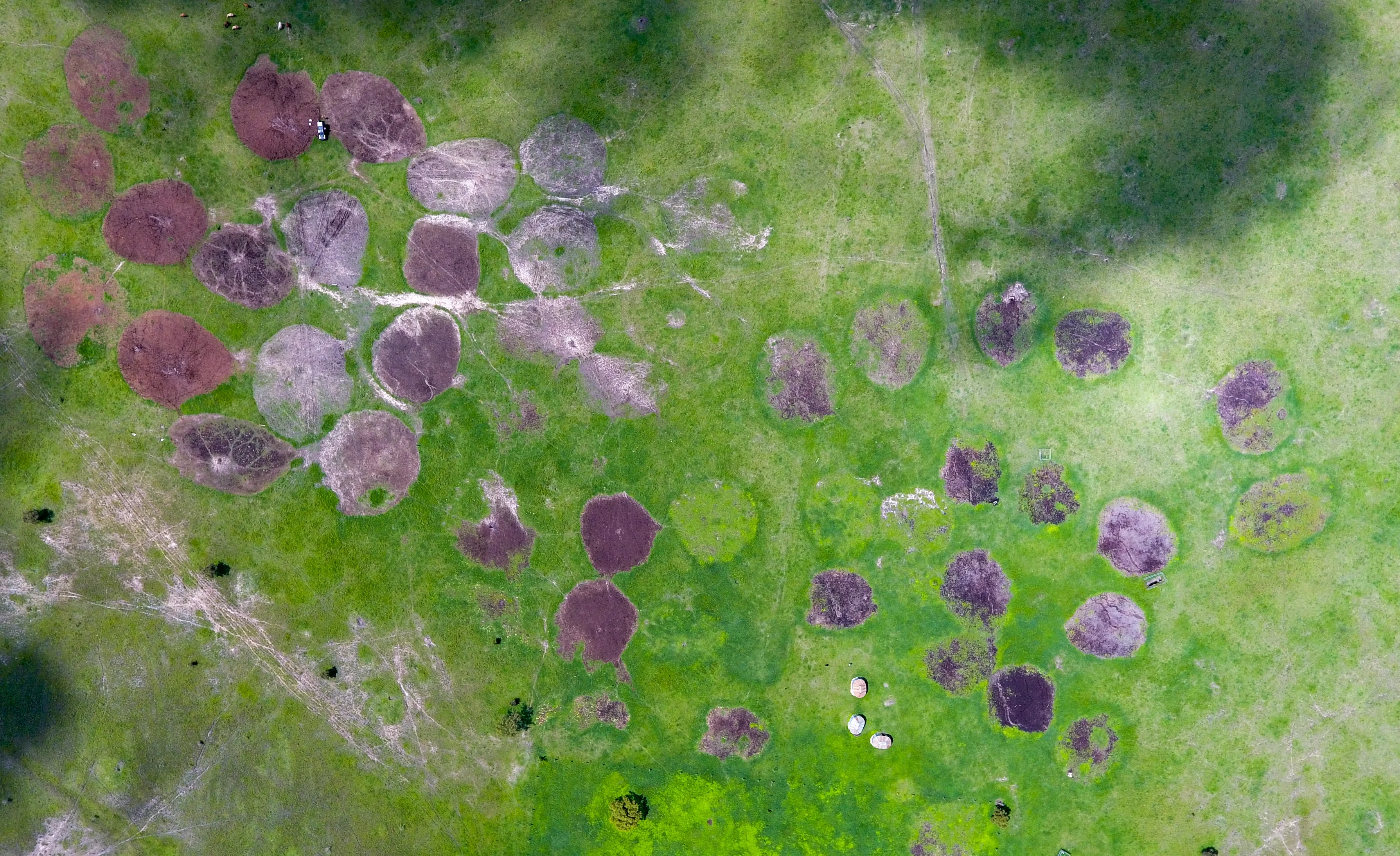 Circles of life and safety
