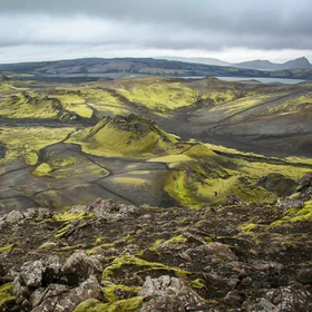 From Fires to peaceful landscape