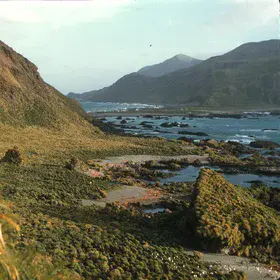 Coast of Macquarie Island, 1959