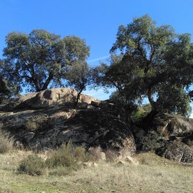 Granite outcrops in El Berrocal forest area (Seville, Spain)