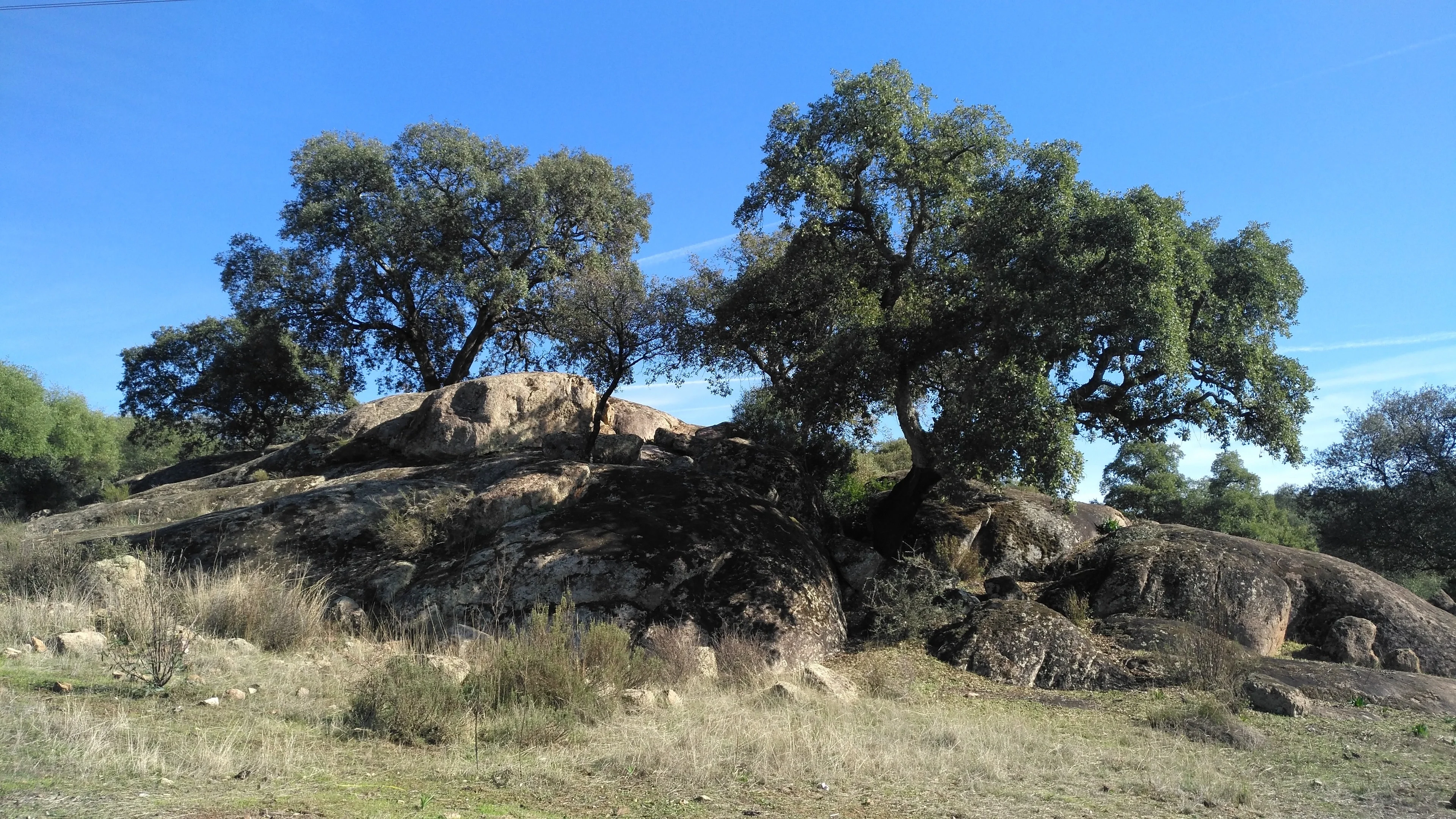 Granite outcrops in El Berrocal forest area (Seville, Spain)
