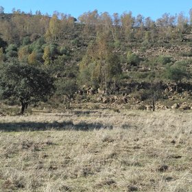 Soil erosion on slopes and sedimentation in flat areas on ridges of El Berrocal (Seville, Spain)