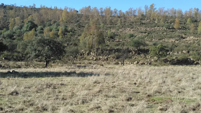 Soil erosion on slopes and sedimentation in flat areas on ridges of El Berrocal (Seville, Spain)