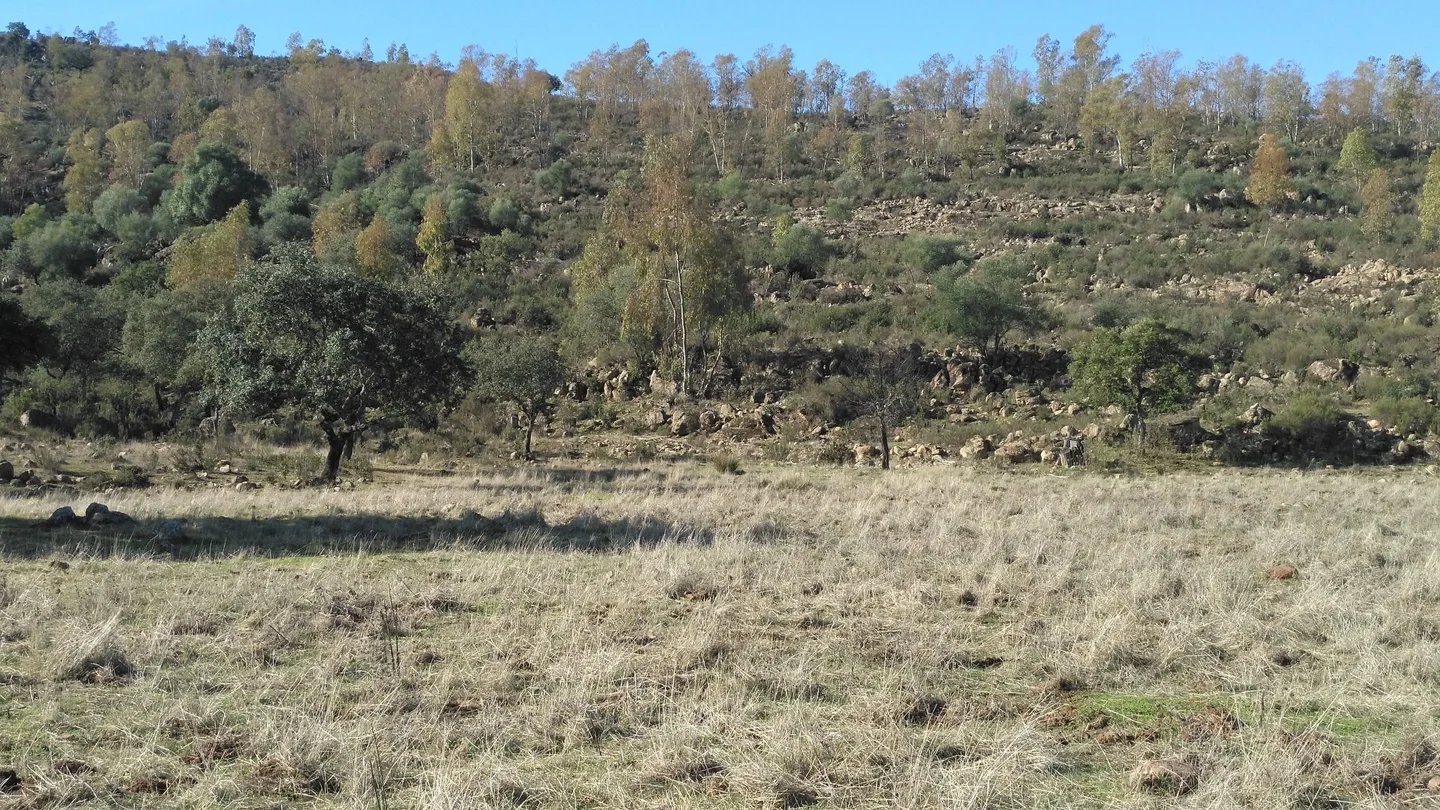 Soil erosion on slopes and sedimentation in flat areas on ridges of El Berrocal (Seville, Spain)