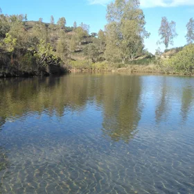 Resilience along the riverbank. Arroyo de la Venta (Seville, Spain)