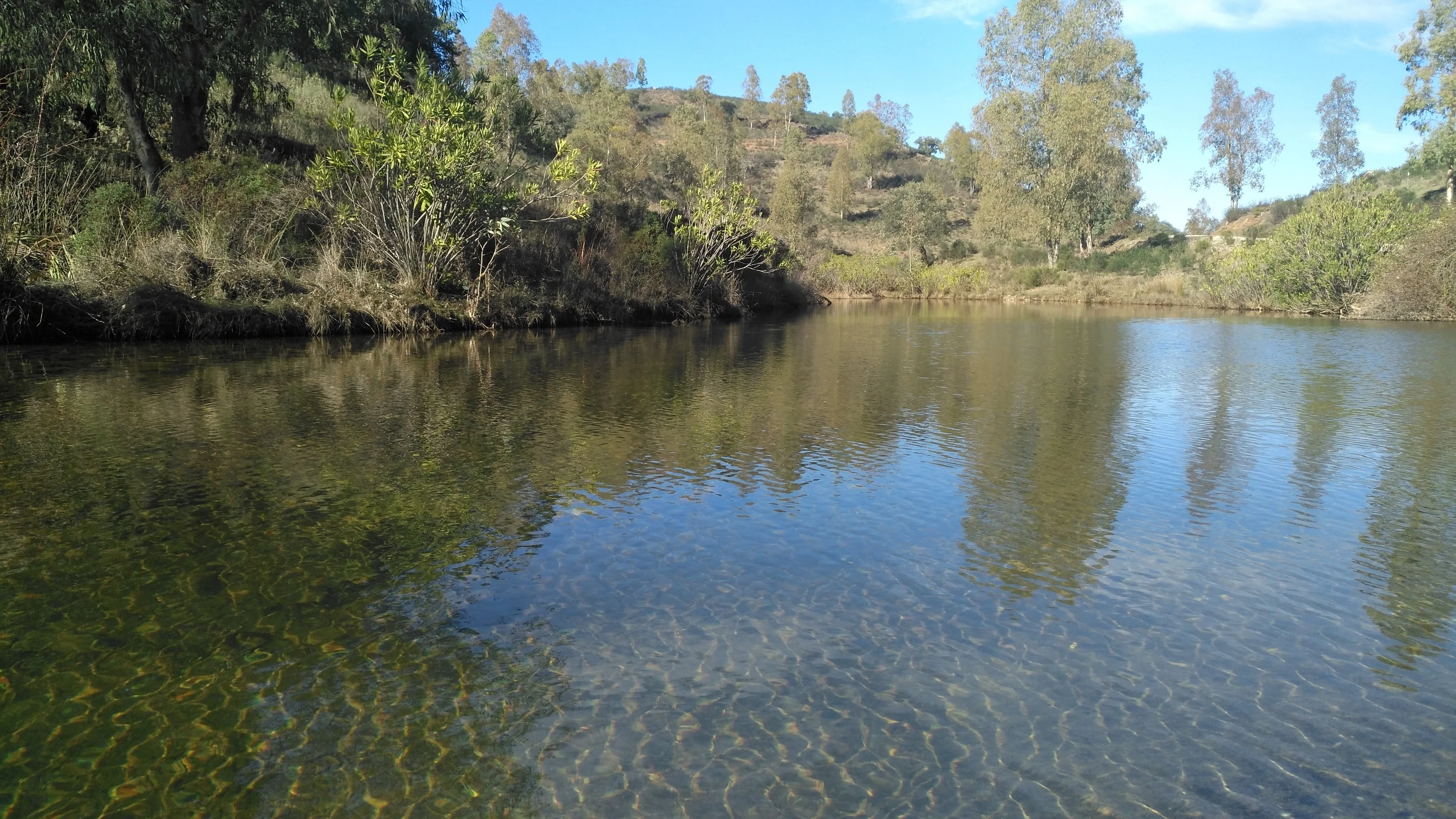 Resilience along the riverbank. Arroyo de la Venta (Seville, Spain)