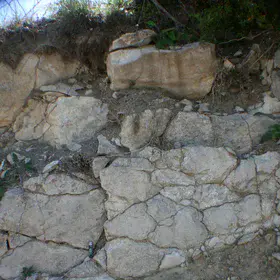 Lithic Leptosol from Casteltallat Mountains (Barcelona)