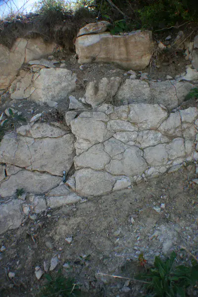 Lithic Leptosol from Casteltallat Mountains (Barcelona)