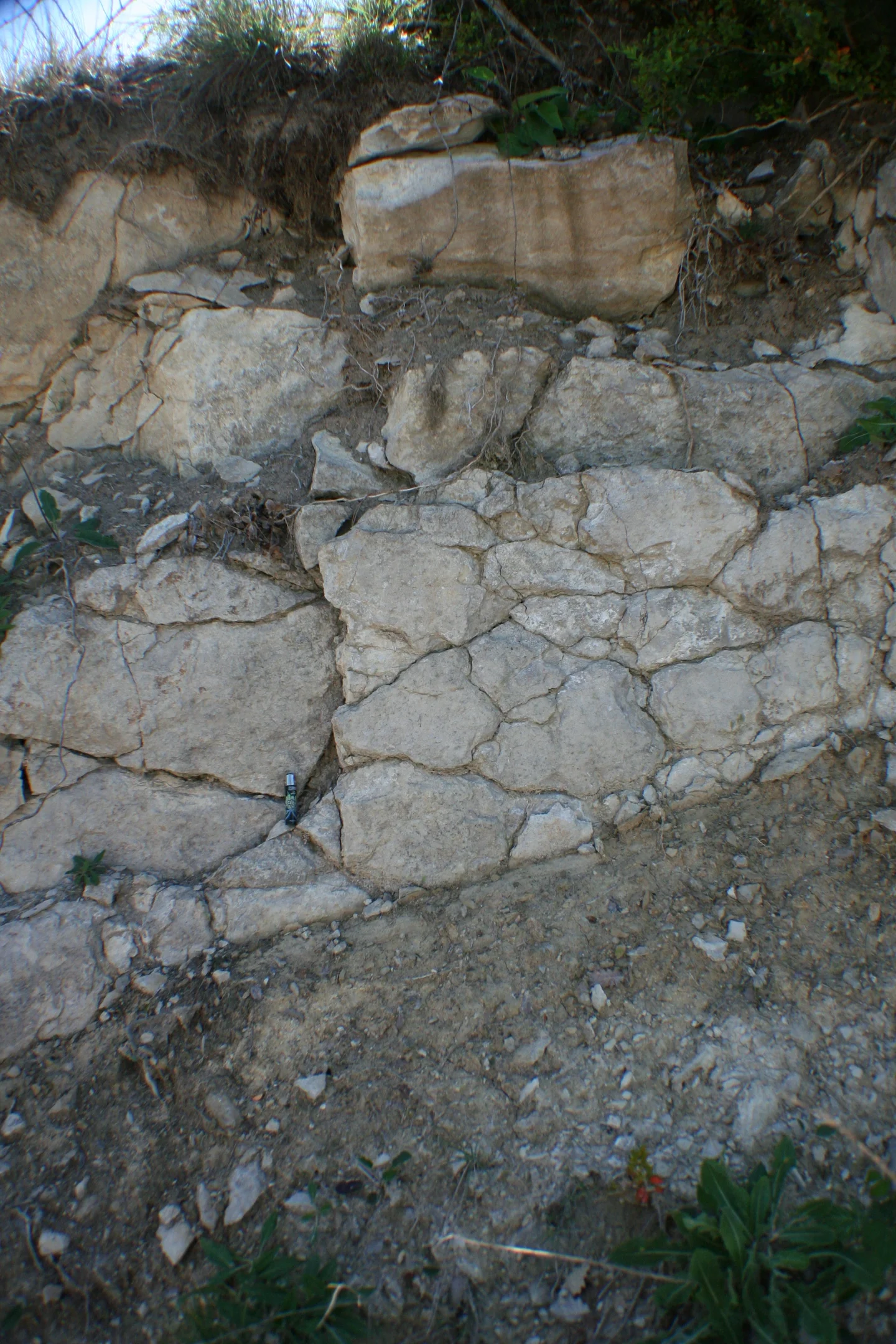 Lithic Leptosol from Casteltallat Mountains (Barcelona)