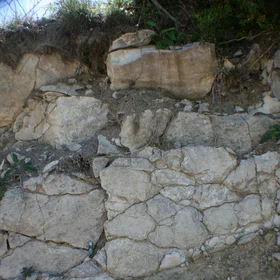 Lithic Leptosol from Casteltallat Mountains (Barcelona)