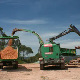 Wood pellet production from logged trees as a resource after the management of vegetation cover