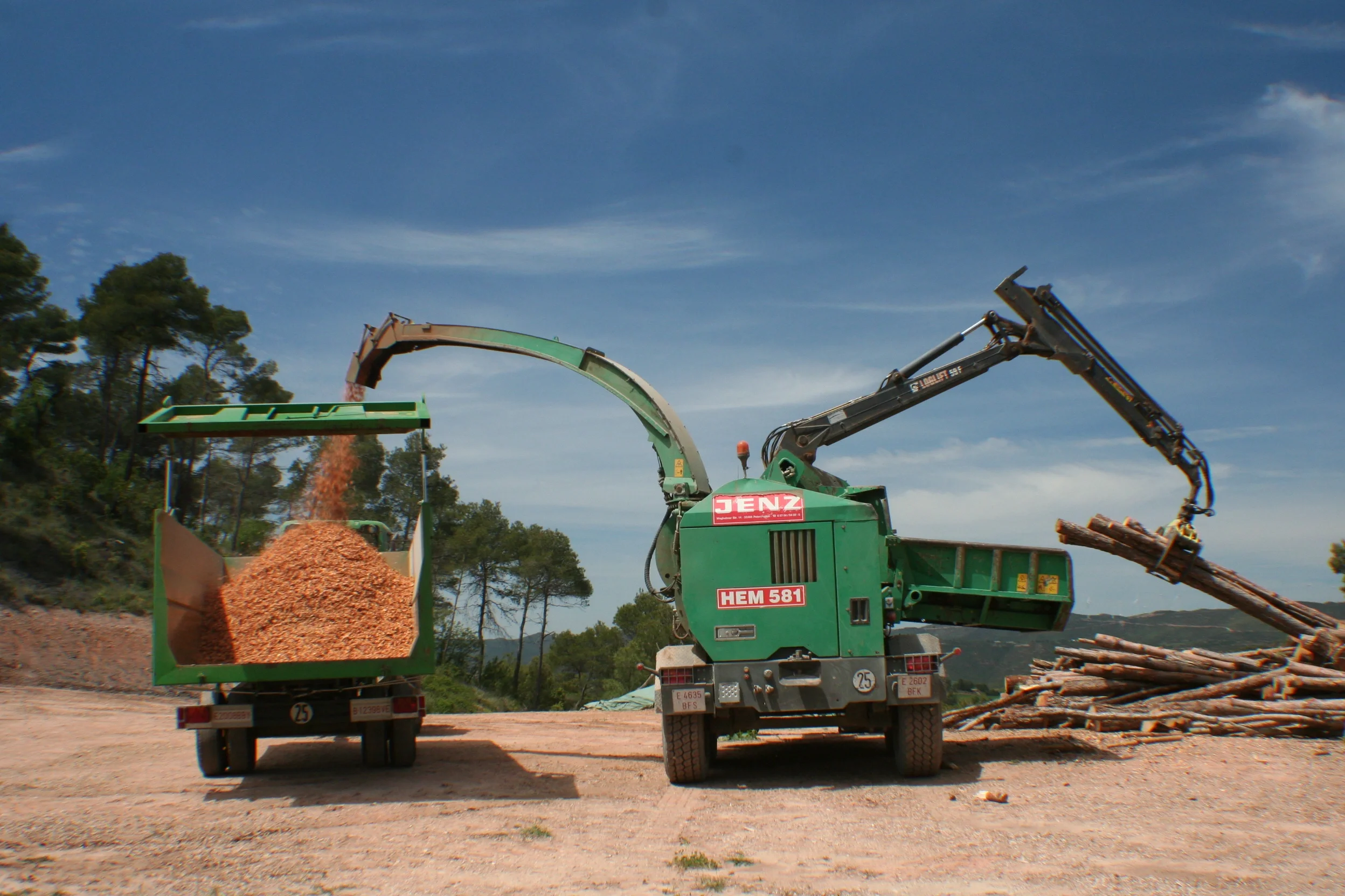 Wood pellet production from logged trees as a resource after the management of vegetation cover