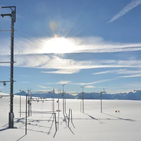 Weissfluhjoch study plot