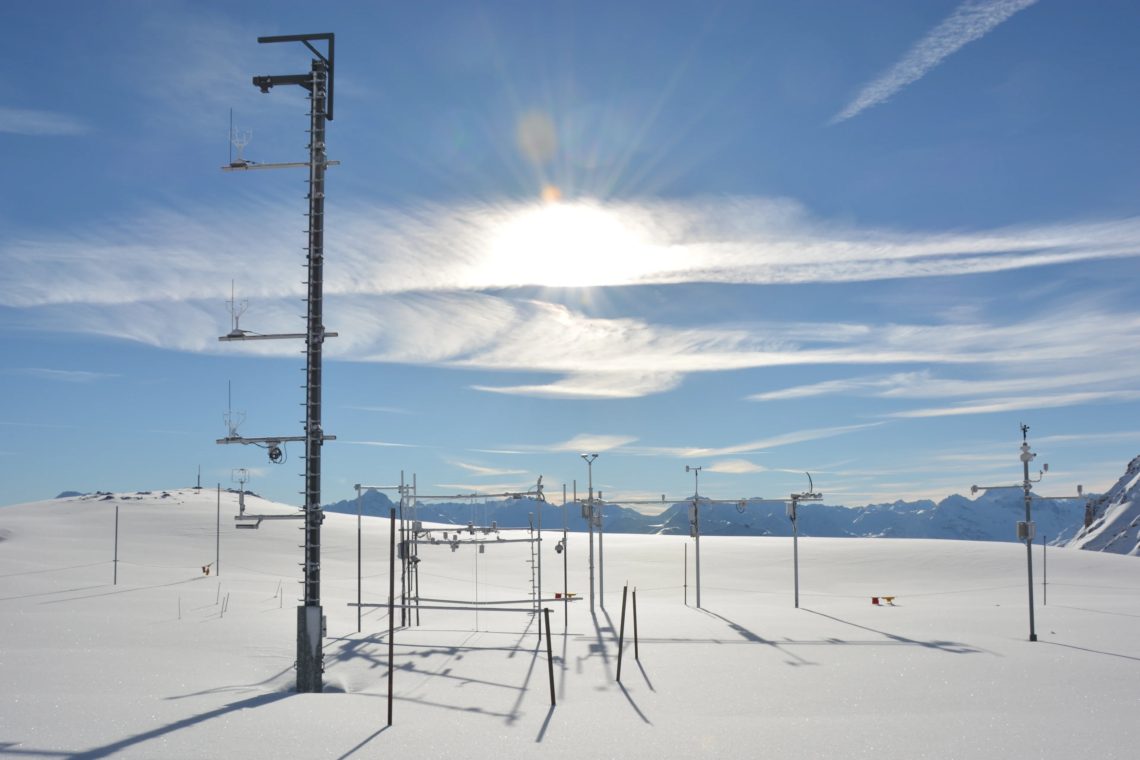 Weissfluhjoch study plot