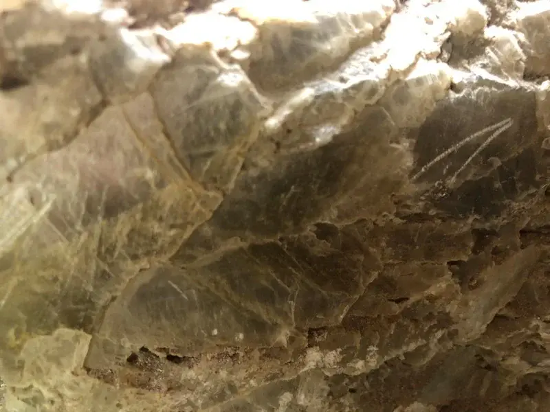 Calcitic Slats (Calcite)