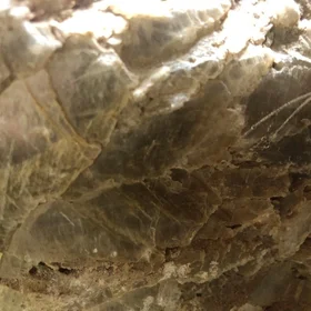Calcitic Slats (Calcite)