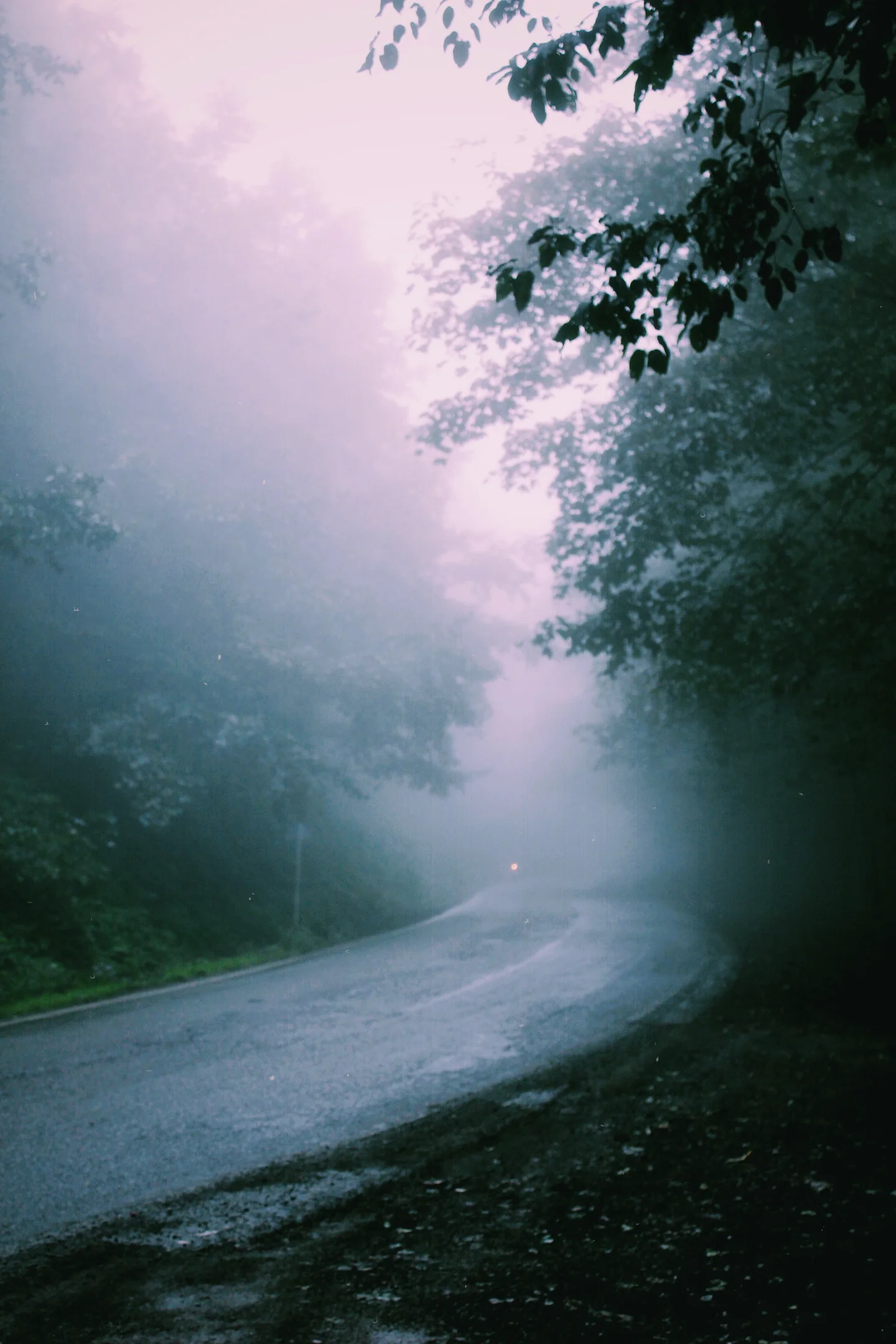 Giving in to the Fog, Disappearing.