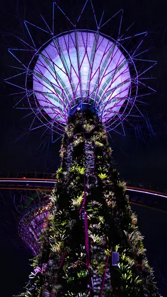 Supertrees Singapore: Technology mimicking nature