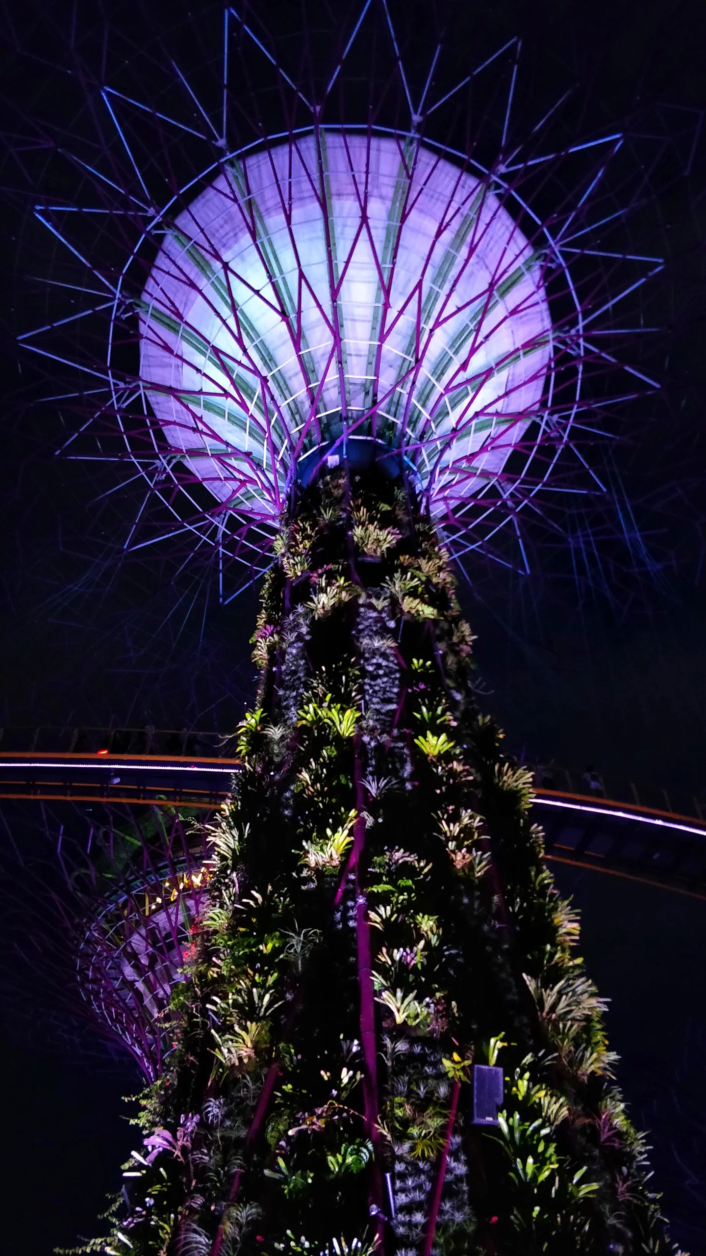 Supertrees Singapore: Technology mimicking nature