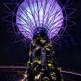 Supertrees Singapore: Technology mimicking nature