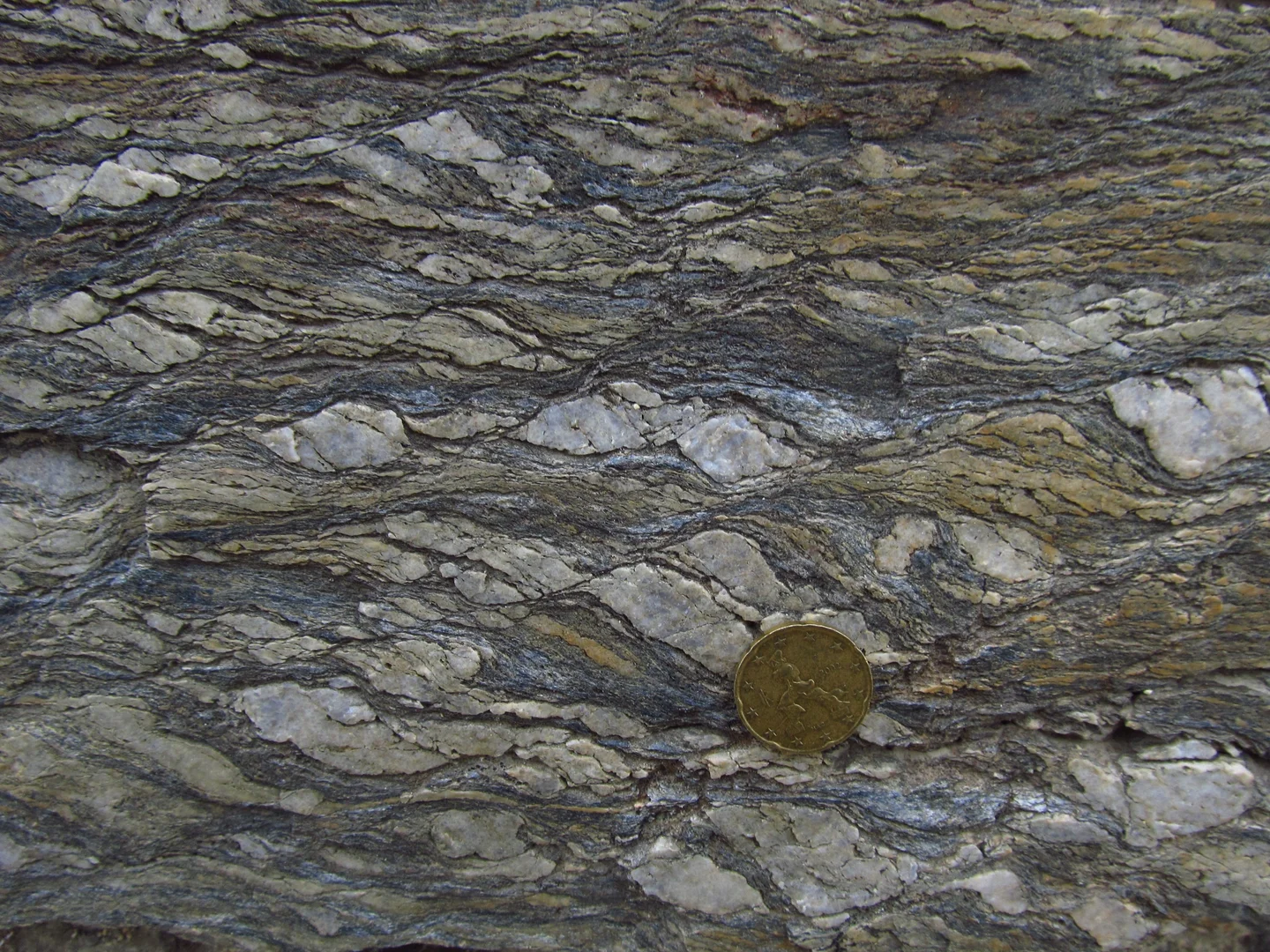 S-C mylonite in the Calamita Schists (Island of Elba, Italy)