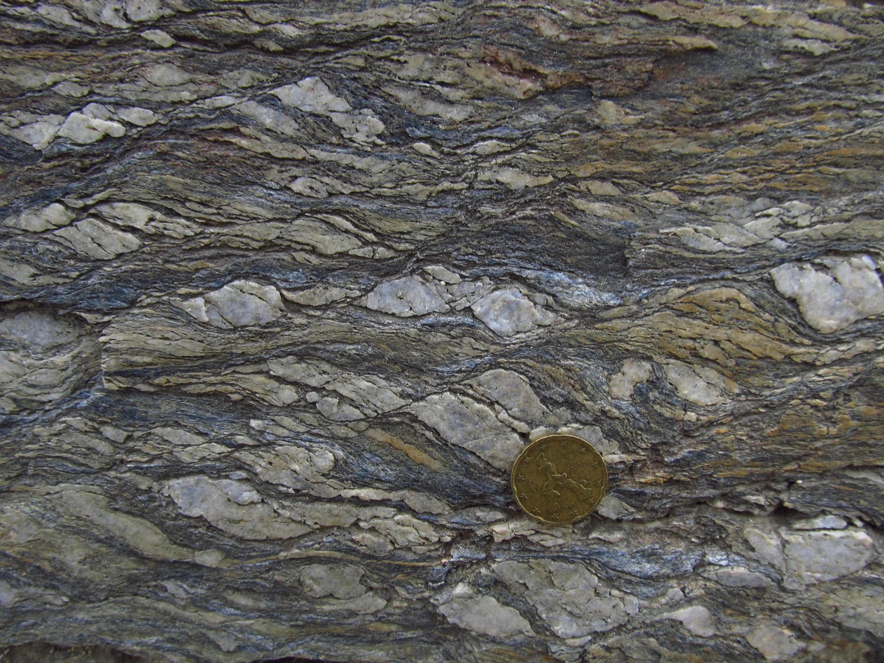 S-C mylonite in the Calamita Schists (Island of Elba, Italy)
