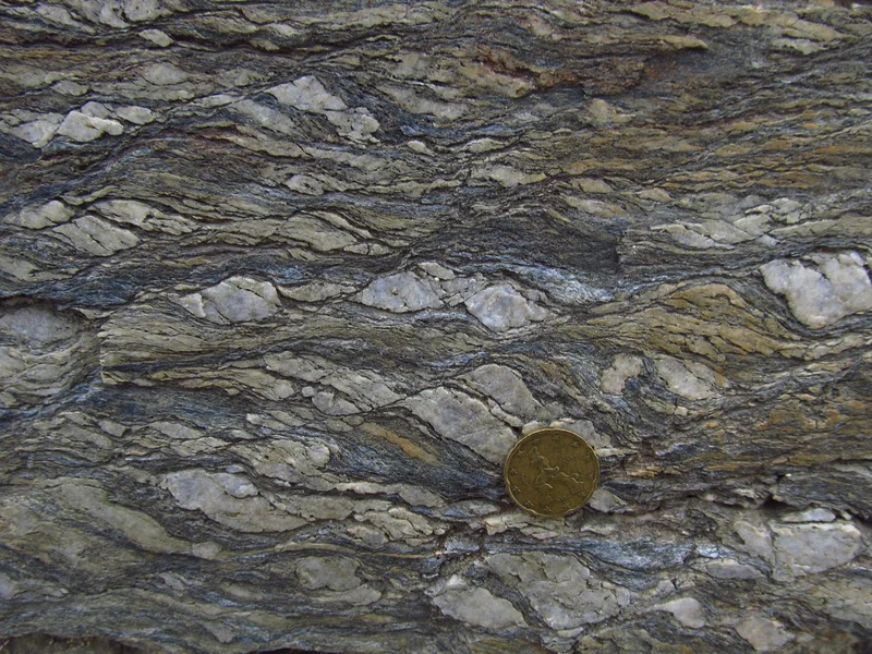 S-C mylonite in the Calamita Schists (Island of Elba, Italy)