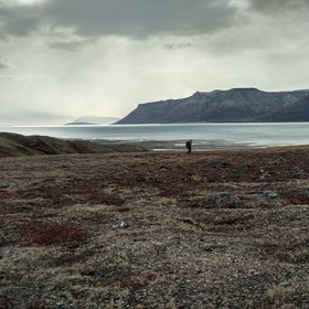 Moody day hike in Young Sound, Greenland