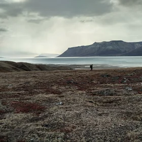 Moody day hike in Young Sound, Greenland