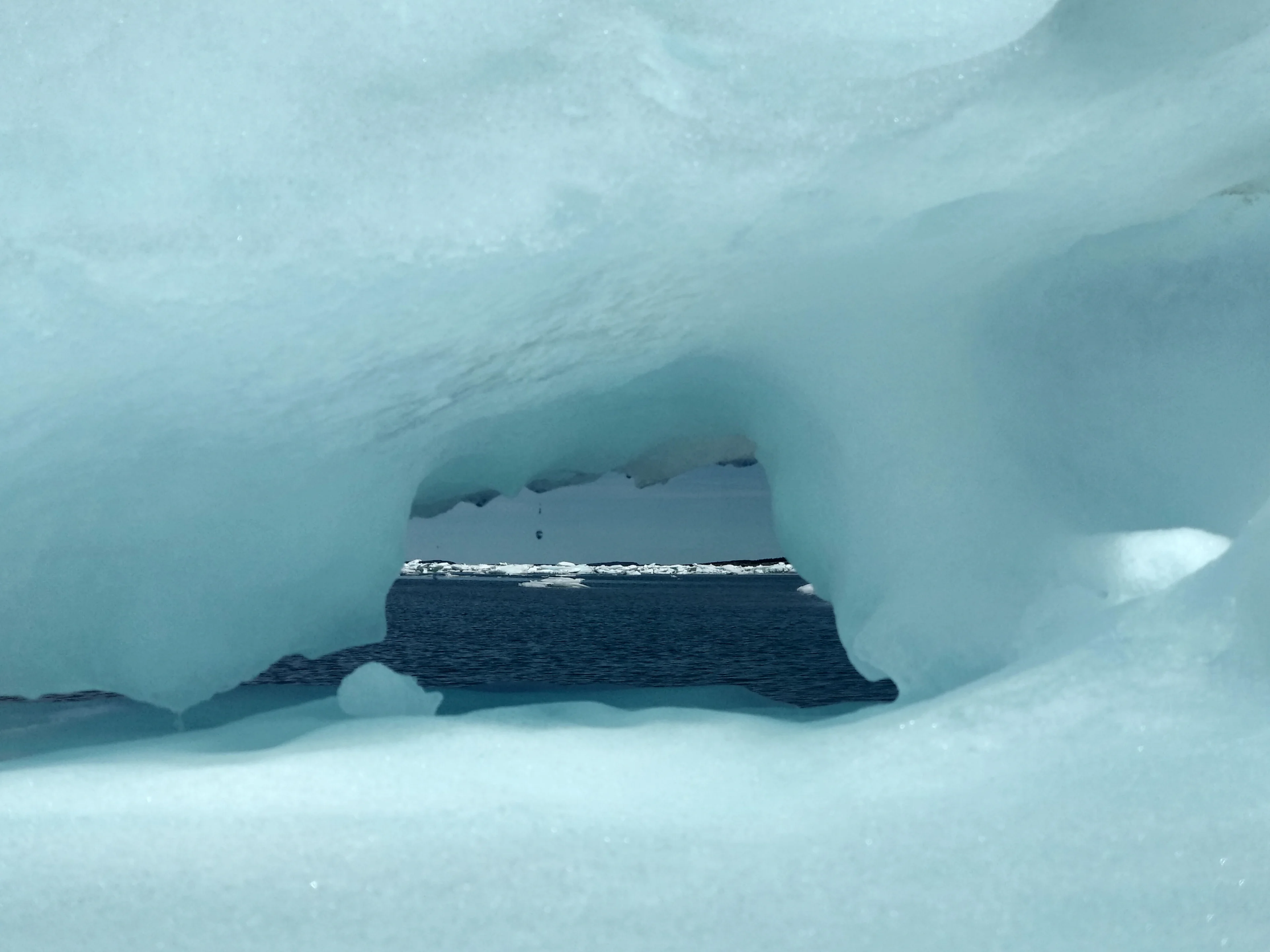 Looking through a window into the Arctic future?