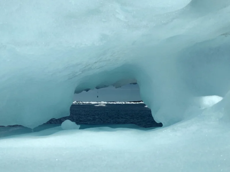 Looking through a window into the Arctic future?