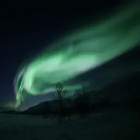 Northern Lights in Tromsø