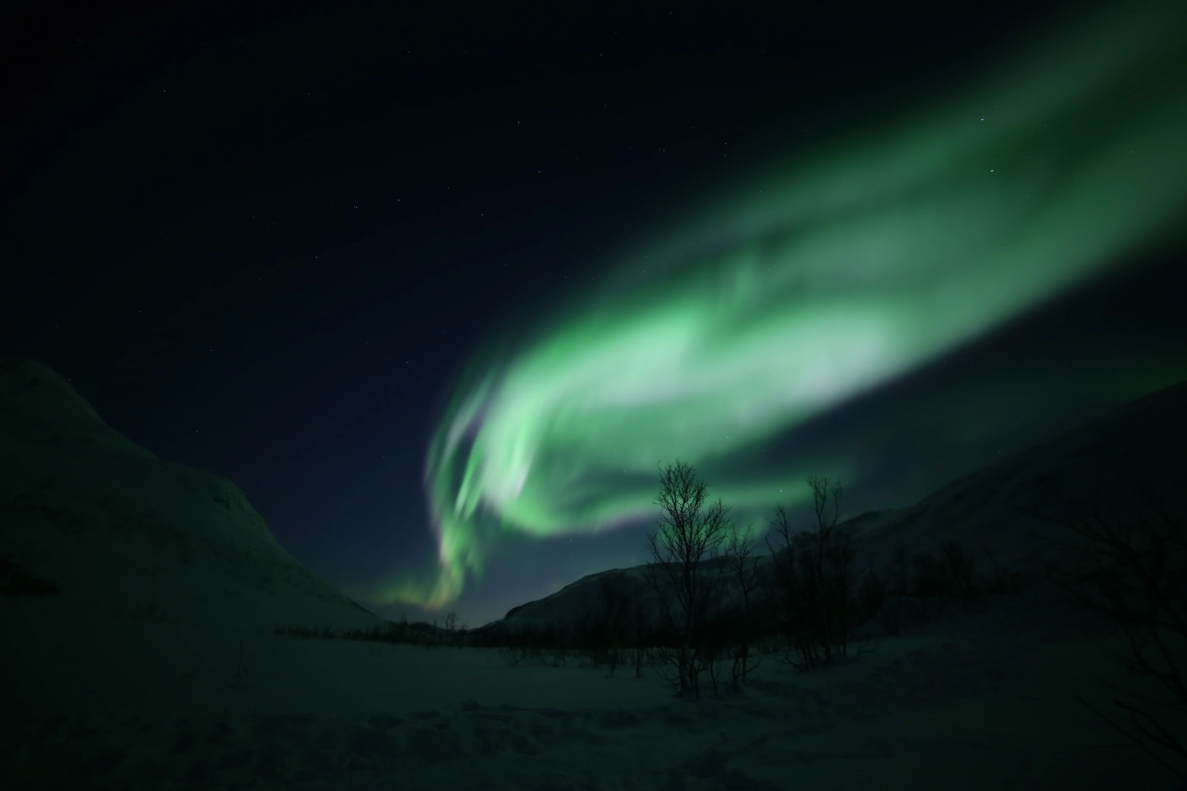 Northern Lights in Tromsø