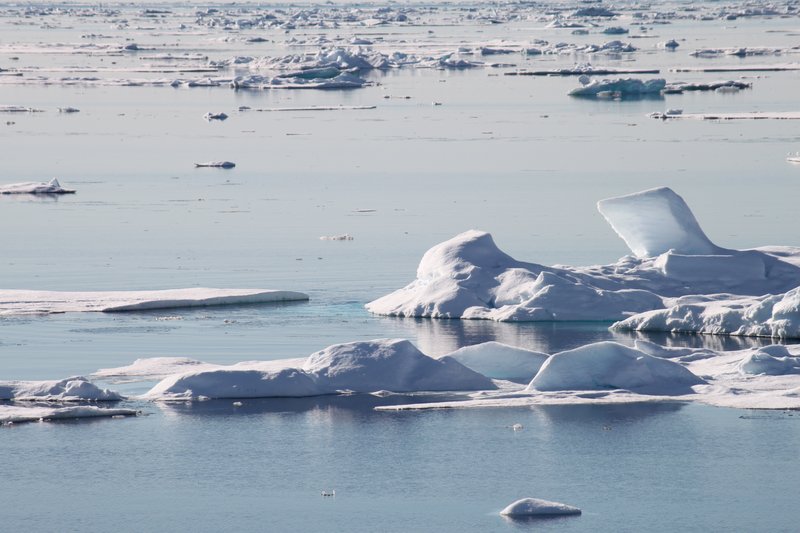 The dwindling Arctic sea ice, Fram Strait