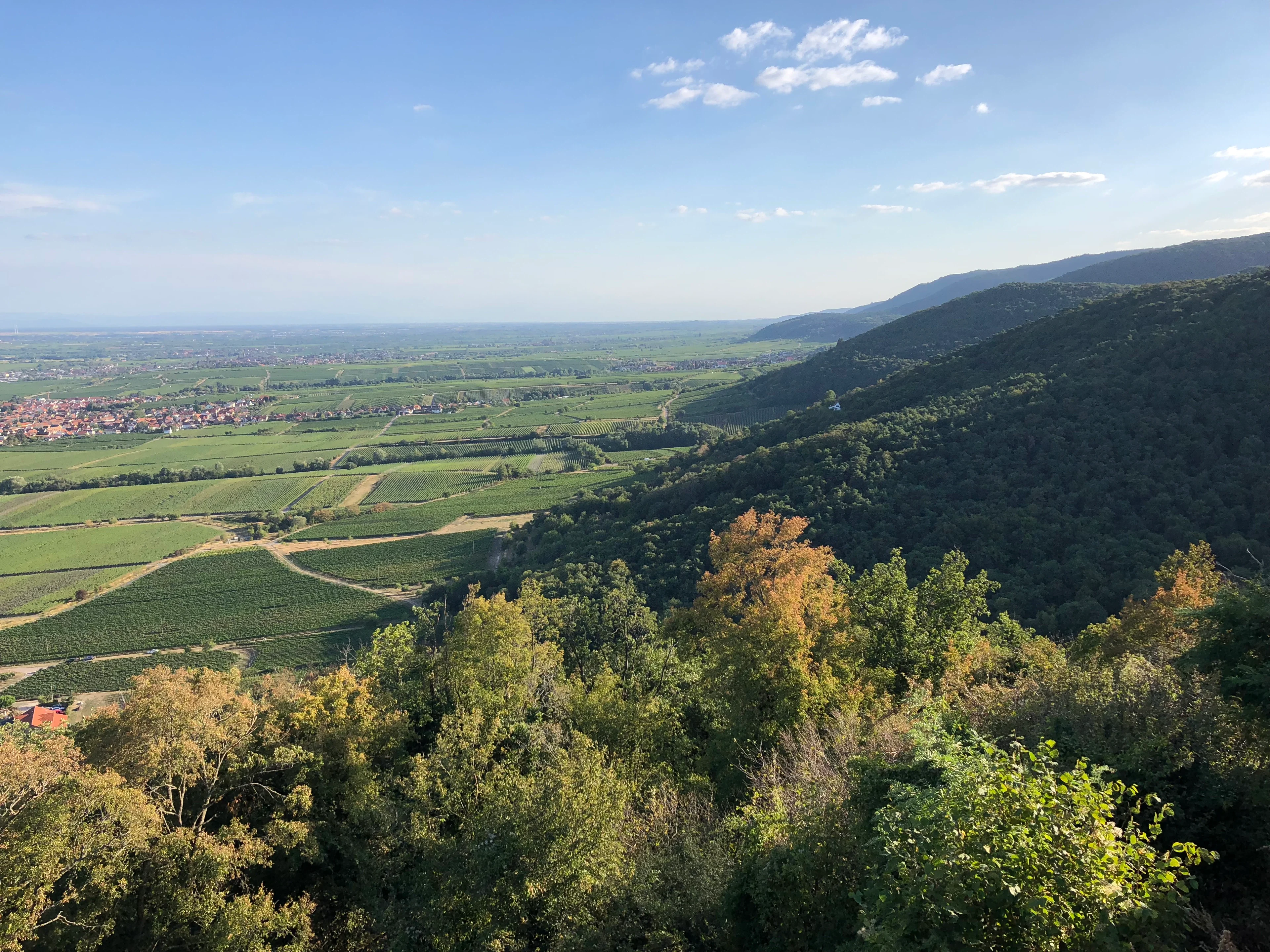 Upper Rhine Graben, Hambacher Schloss, Germany